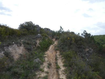 Vue Sentier Couleurs