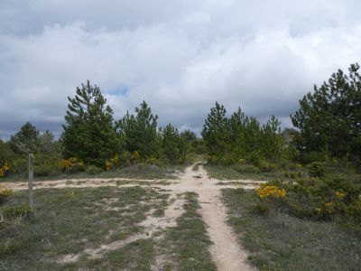 Croisement avant retour Couleurs