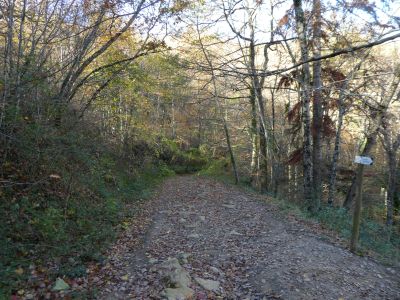 Croisement Mathieux