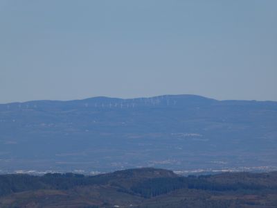 Vue Forêt Montaud