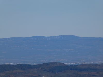 Vue Forêt Montaud