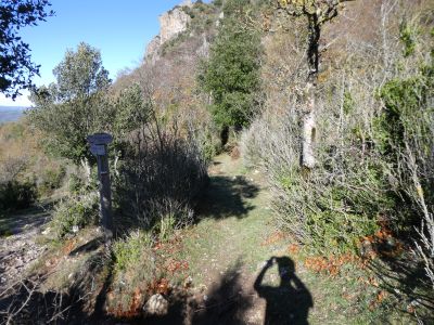 Croisement sentier équestre