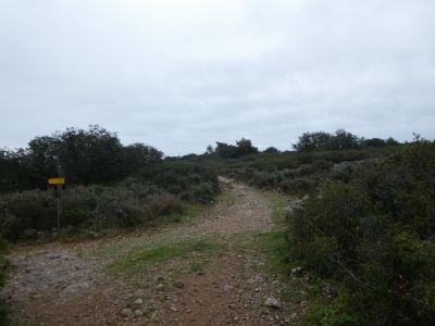 Garrigue Haute