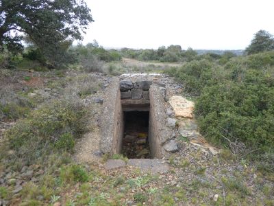 Vue bunkers