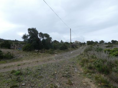 Croisement Romarin 2