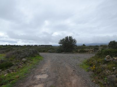 Croisement sentier Cambouisset