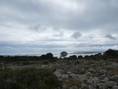 Vue Etang Palme