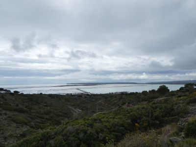 Vue salins Palme
