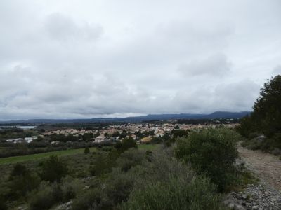 Vue Palme