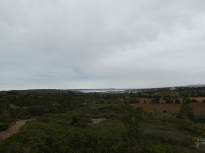 Vue Etang Palme