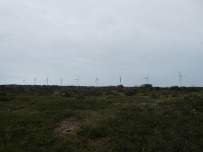 Vue éoliennes