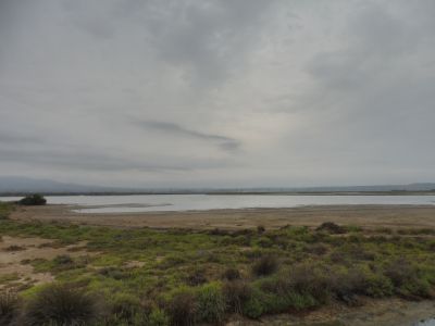 Vue Etang Palme