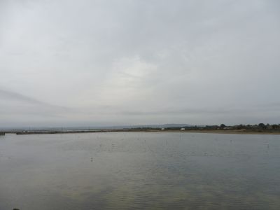 Vue Etang Palme 2