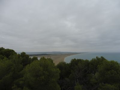 Vue Grazel