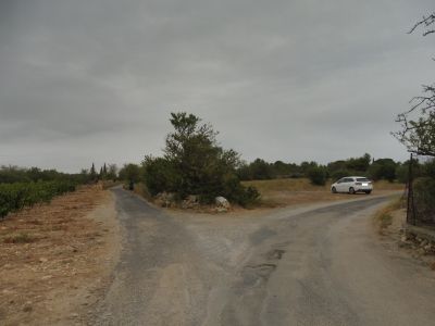 Intersection Palus