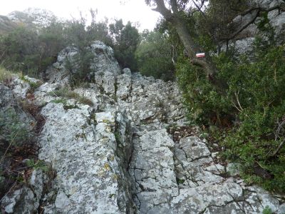 Vue rochers Vallongue