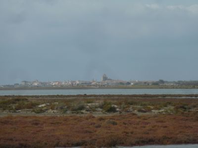 Vue Saintes-Maries-de-la-Mer 2