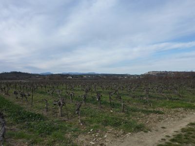 Vue Cévennes 3