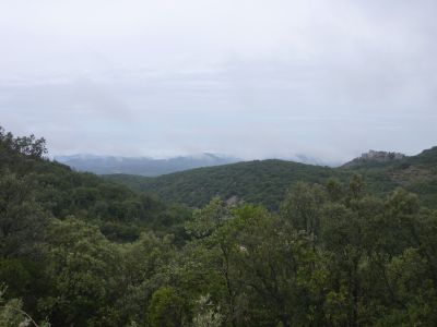 Vue Cévennes