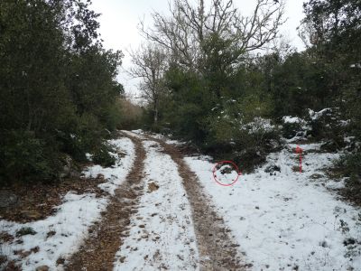 Croisement après Dévèze