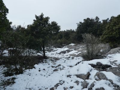 Croisement Serre Fabre