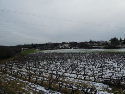 Vue vignes