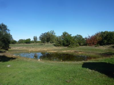 Vue Lac Trépadone