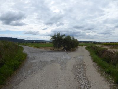 Croisement Ournèzes