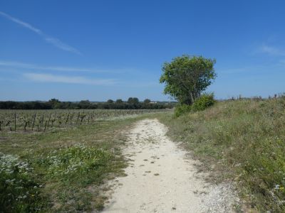 Croisement après D12