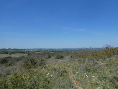 Vue Cévennes