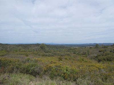 Vue Cévennes