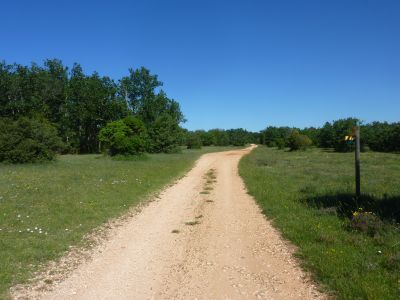 Chemin Eglise