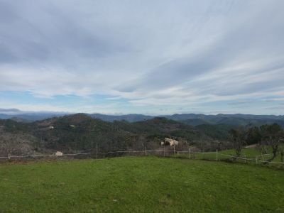 Vue Cévennes