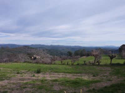 Vue Cévennes 3