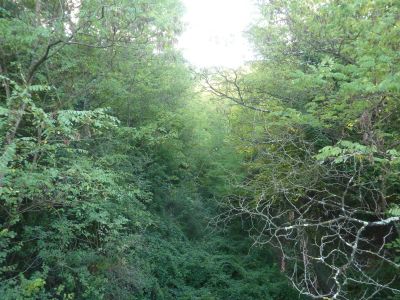 Vue chemin fer Bessèges