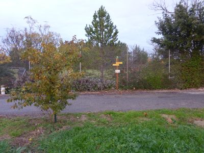 Tornac - Stade