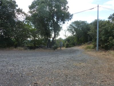 Rouvière