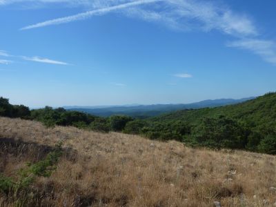 Vue Cévennes 7