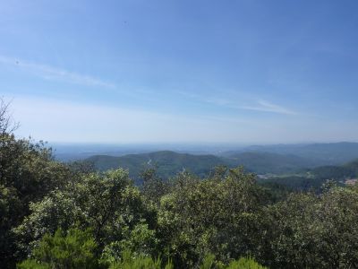 Vue bassin alésien