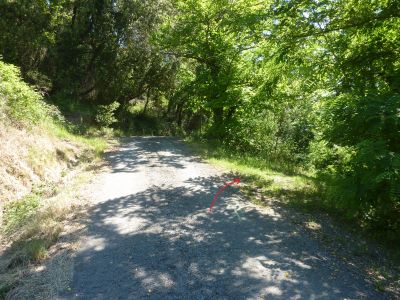 Croisement après Pisani