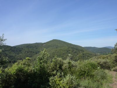 Vue Cévennes