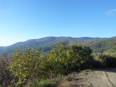 Vue Mont Lozère