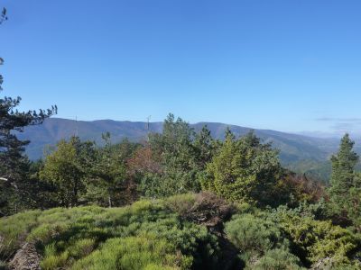 Vue Mont Lozère