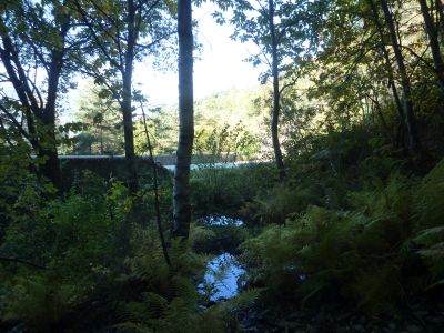 Départ Sources Cèze