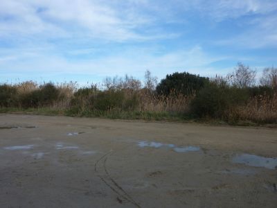 Croisement Peccais 2