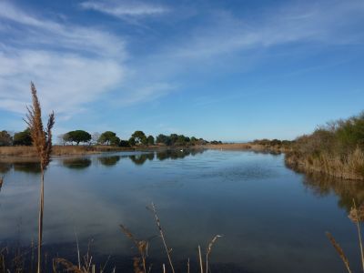 Vue Camargue 2
