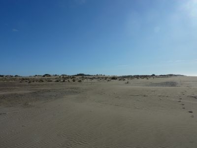 Vue dunes