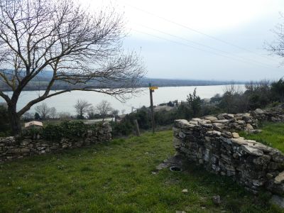Ruines XIIème