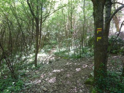 Croisement main courante