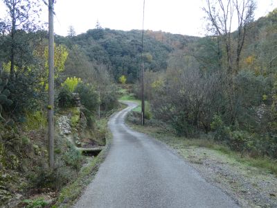 Croisement avant Rouvière